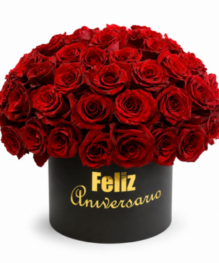 Flowerbox 70 Rosas