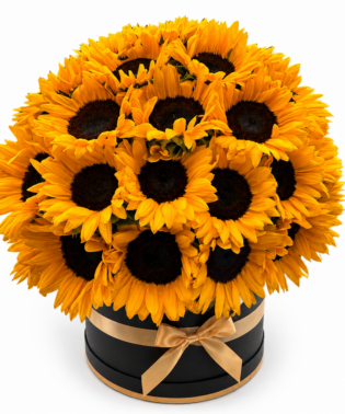 Arreglo redondo de girasoles