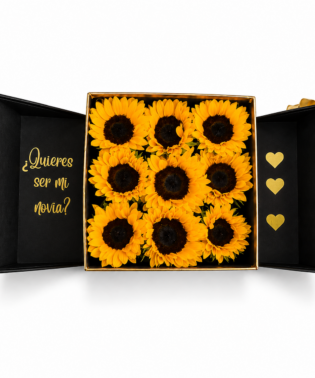 Open box de 9 girasoles