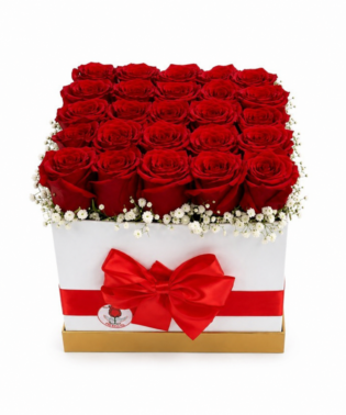 Box cuadrado 25 rosas