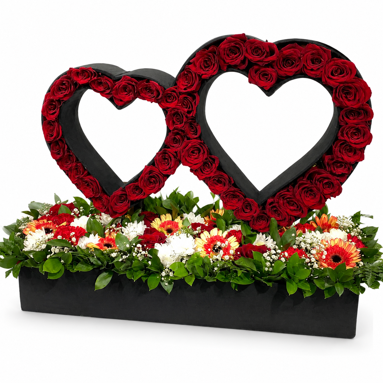 Doble corazón rosas importadas