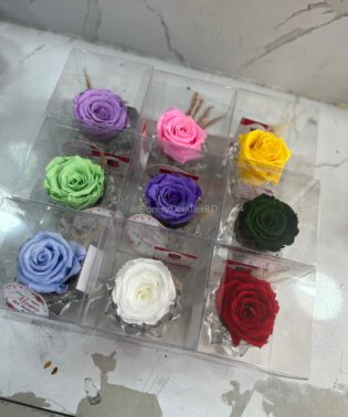 Rosas preservadas en bases de cristal